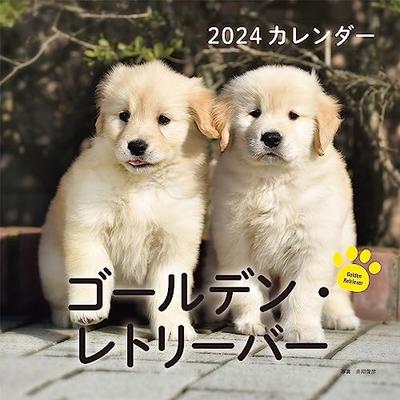 2024 Calendar Golden Retriever (Seibundo Shinkosha Calendar)