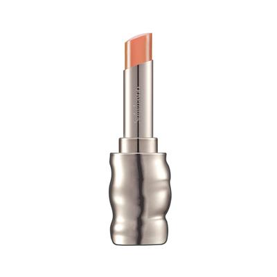 Perfecting Lip Color NO.310 Terra 3g