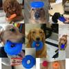 Multifunctional Dog Spiky Toy Durable Dog Teething Toy Spiky Training Ring  for Small Medium Dogs