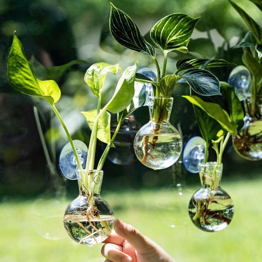 4pcs/set Self-Watering Plant Hydroponic Vase with Suction Cups Mini Flower Pot Window