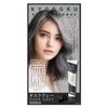 KYOGOKU IROME Hair 24 Gray Hair Salon Partial Dye 1-Pack Color, Colors, Dye, Quasi-drug, Hypoallergenic, Exclusive, Self-Color, (Dusk Gray)