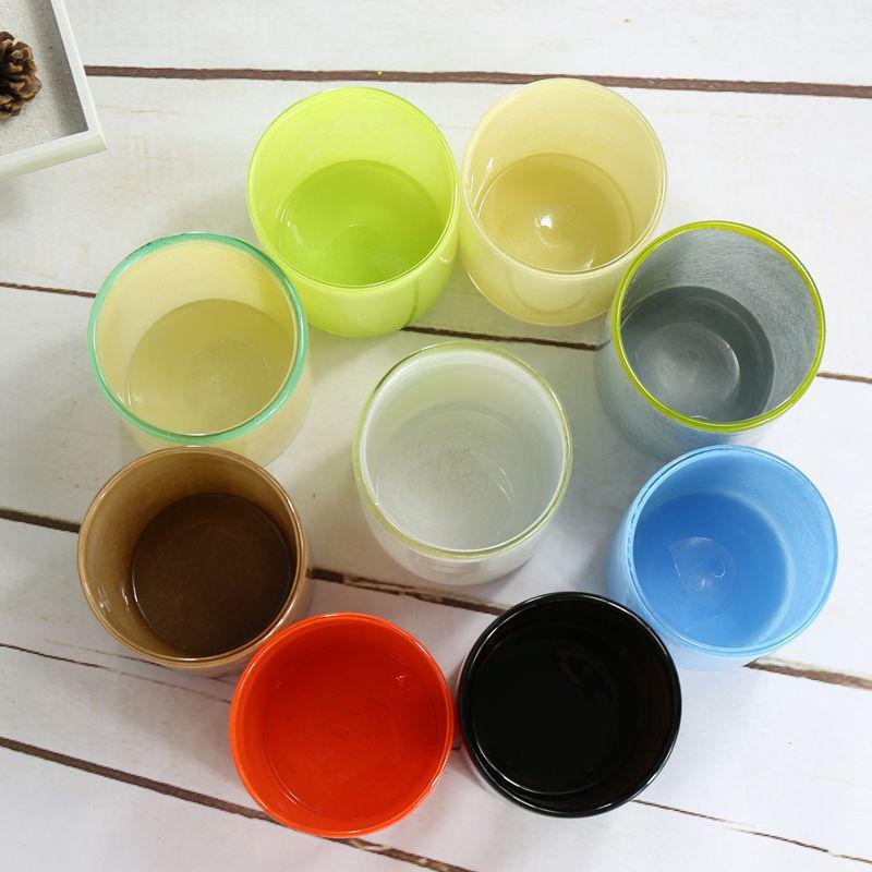 Hydroponic Glass Cylinder Vase for Pothos & Peace Lily - Transparent Water Culture Container with Free Shipping.