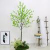 Large Artificial Cherry Blossom Tree for Indoor Display and Landscape Decoration