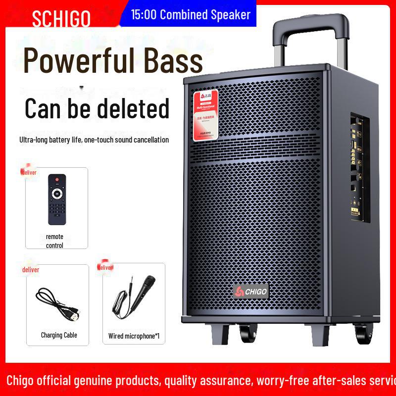 Chigo High-Power Outdoor Bluetooth Trolley Speaker for Music & Karaoke