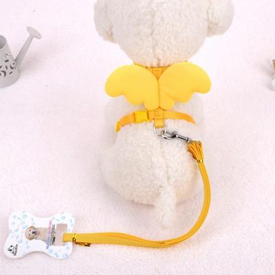 Hundar – Hundhalsband & Koppel