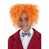 Childrens/Kids Hatter Wig