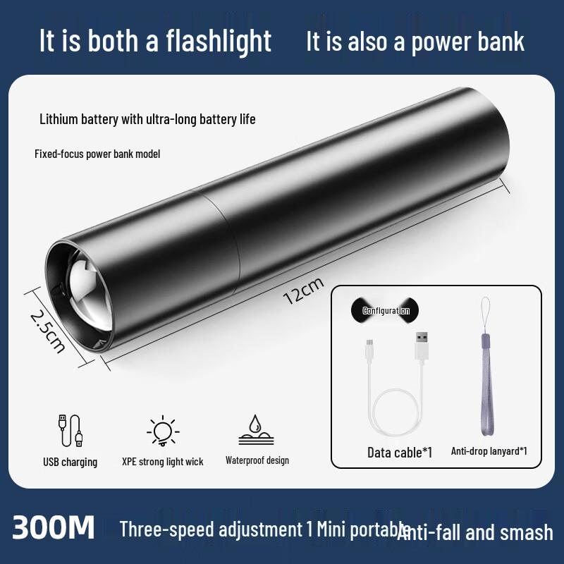 Beixiang High Power Mini Portable Flashlight