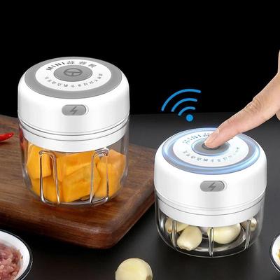 Mini-USB-Kabelloser elektrischer Knoblauchstampfer, Presswolf, Gemüse-Chili-Fleischwolf, Lebensmittelzerkleinerer, Küchengeräte – 100/250 ml