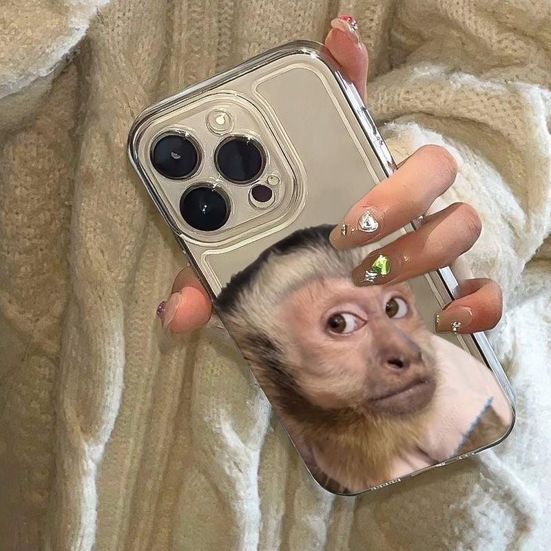 PFunny Meme Monkey Face Hone Case For iPhone 17 Air 16E 16 15 14 11 Pro Max Plus 13 12 Mini 8 7 X Transparent Shockproof Cover