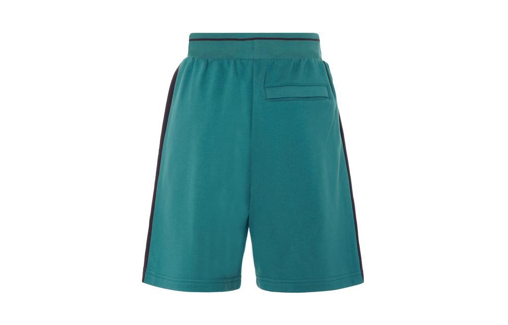 Puma Casual Shorts Men's Green Moderate 629086-22