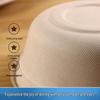 Disposable Paper Bowl and Dinnerware Set