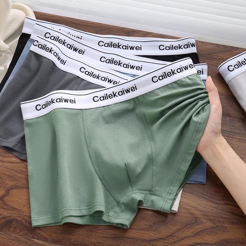 Large Size Men's Spring and Summer Cotton Anti Bacterial Breathable Youth Flat Angle Underwear