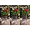 4pcs Stainless Steel Root Guard Baskets for Garden Plant Root Protection 18x16in