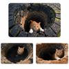 Non-slip Bathroom Carpet Water-absorbing Bedroom Door Rug Optical Illusion Doormat  Home Decor