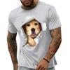 Trendy Men's T Shirt Summer Cute Pet Golden Retriever Graphic 3D Printed Short Sleeve