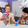 NUOBESTY Double Helix DNA Model Kit DNA Structure Models Human Genes Learning Kit for Biological Teaching Prop