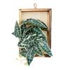 Wall Framed Artificial Plant Faux Greenery Plant in Frame Wall Decor Hanging