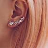 Rhinestone Flower & Leaf Earrings: Luxurious High-End European Style for Women