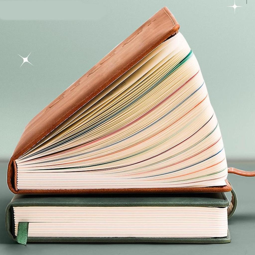 A5 Leder 2025 Geschäftsplan, Studenten Tagesplaner, 365-Tage-Notizbuch, Schnallennotizblock, Memo, 208 Blätter, 416 Seiten