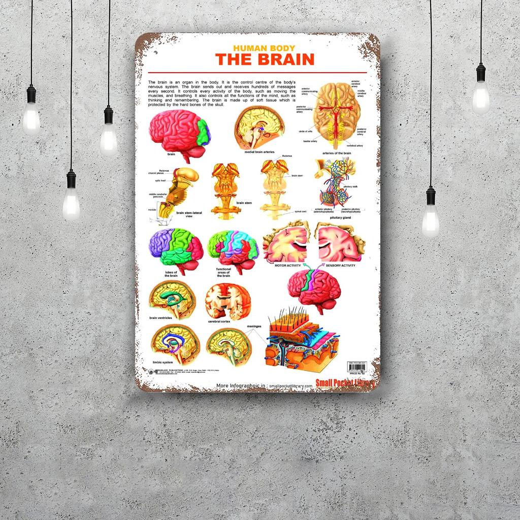 Brain Funny Bar Metal Sign Retro Plaque Vintage Sign Alcohol Drinker Pub Club Man Cave Kitchen Wall Decoration