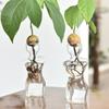 Female Body Clear Glass Avocado  Sprouting Planter Modern Hydroponic Vases For Indoor Plant Display Desktop Decors