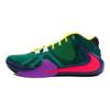 Кросівки Zoom Freak 1 Ep 'Multi Color' повсякденні CW3202-800