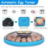 60W 52 Pcs Egg Incubator Hatching Chicks Fully Automatic Poultry Hatching Machine