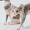 Mini Hairless Cat Model Creative Tattoo Cat Resin Simulation Animal Statue Decoration Modern Car Home Decoration Accessories