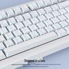 Zhe Ying 3.0 Angled Translucent PBT Keycaps with Custom Magnetic Switches