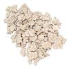 200pcs DIY Craft Unfinished Wooden Animal Chips Mixed Pet Themed Smooth Edges Empty Wooden Ornaments Wooden Shaped Slices