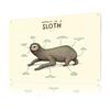 Anatomy of a Sloth Printed Poster Customized Wall Art Retro Vintage Metal Tin Signs for Office Decor Room Home Decoration Luxury
