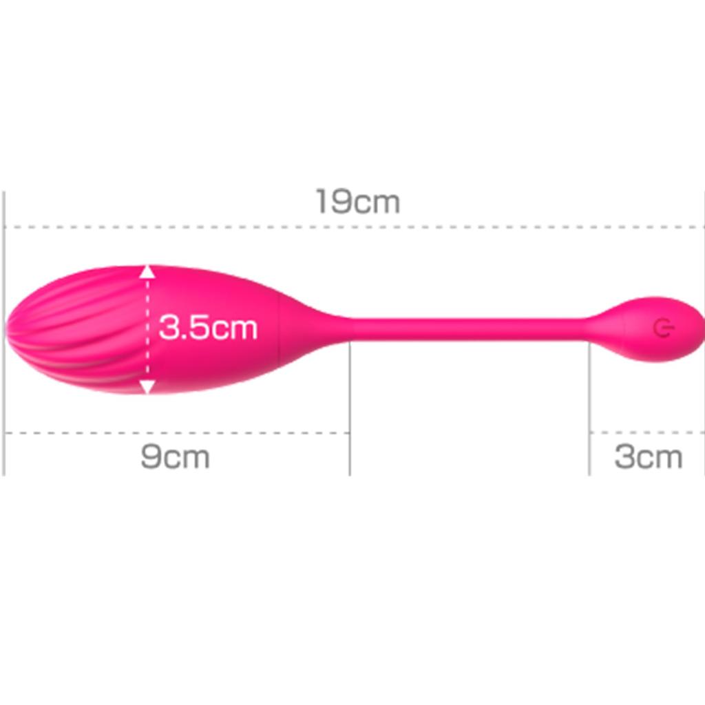 LOVERS ROCKET Vibration Rotor Massager [9 patterns][Waterproof][Washable][Video linked][+1D linked][+1DVR Linked] /