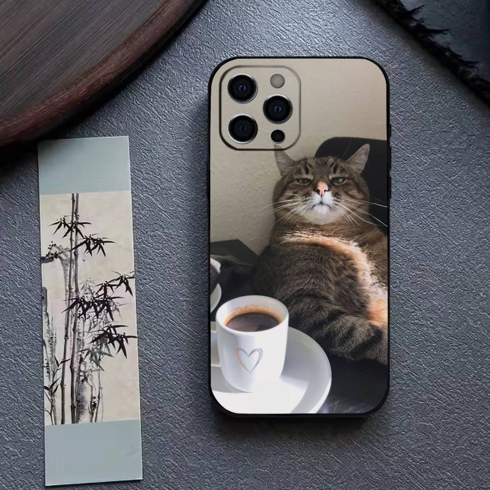 Funny C-Cute Cat Phone Case For iPhone 17, 16,15,14,13,12,11 Plus,Pro Max, Others Soft Black Cover