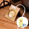 Zhou Family Lucky Cat Charm Air Freshener Pendant Gift