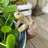 1/2Pcs Creative Simulation of Small Turtles Resin Crafts Gardening Balcony Flower Pot Decoration Home Fish Tank Small Ornaments