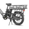 Fafrees FF20 CUV Electric Cargo Bike 250W with48V 12Ah Dual Batteries 20inch