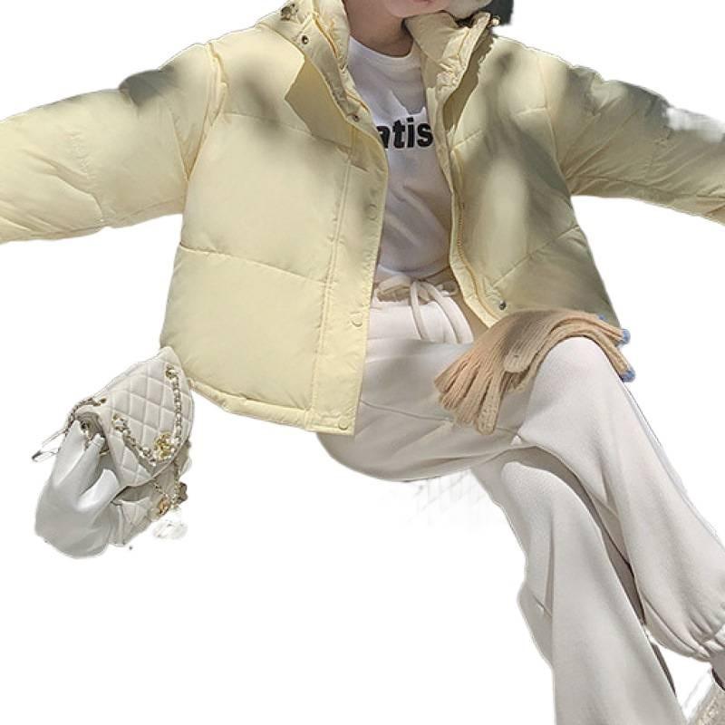 

Женская зимняя куртка в корейском стиле, короткая, со скрытым карманом, на молнии, утолщенная, свободного кроя, студенческая 2XL