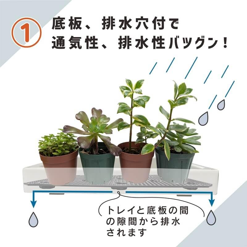 DAIM Succulent Plant Greenhouse 35x28x29cm, White