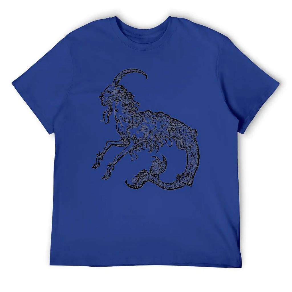 Capricorn Twelve Constellation (4) T-shirt Harajuku Move Tshirt Vintage Home Funny Novelty USA Size