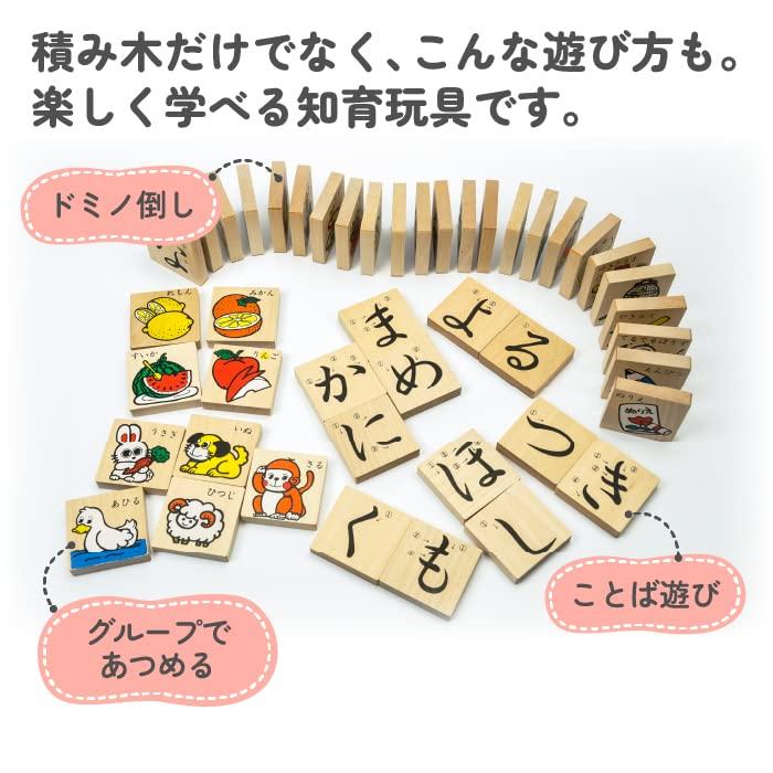 Sakai Sangyo Gujo Hachiman Hiragana Building Blocks, Ages 18 Months to 1.5 Years, Made in Japan, Wooden, Montessori