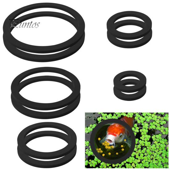 10 Pcs Aquarium Floating Plant Rings Lightweight Keep Food Plants In Place EVA Foam Floating Ring for Fish