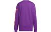 adidas Ivy Park Lange Mouw Grafisch T-shirt Uniseks HR2865