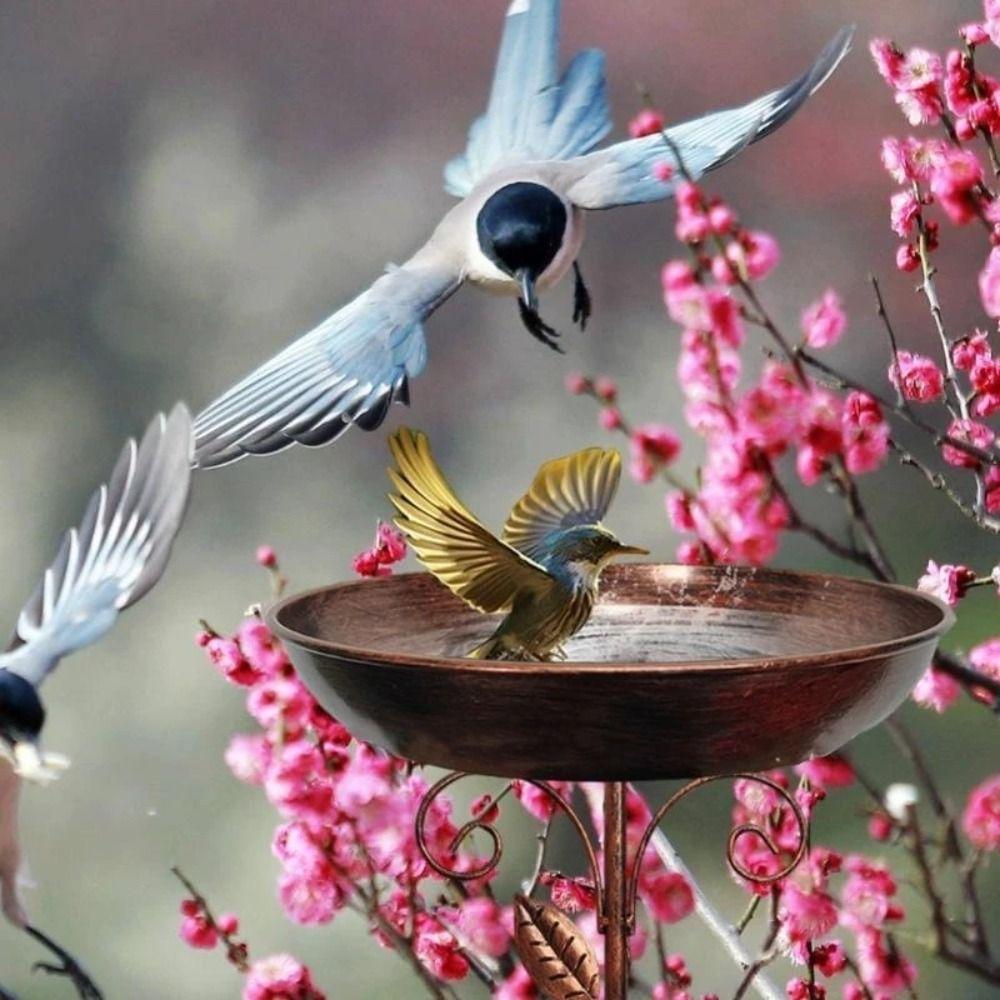 Sturdy Bird Feeder Ground Plugin Iron Bird Feeding Dish Bird Water Bowl  Garden