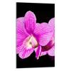SZKLANA DESKA DO KROJENIA 30x52 Orchidea