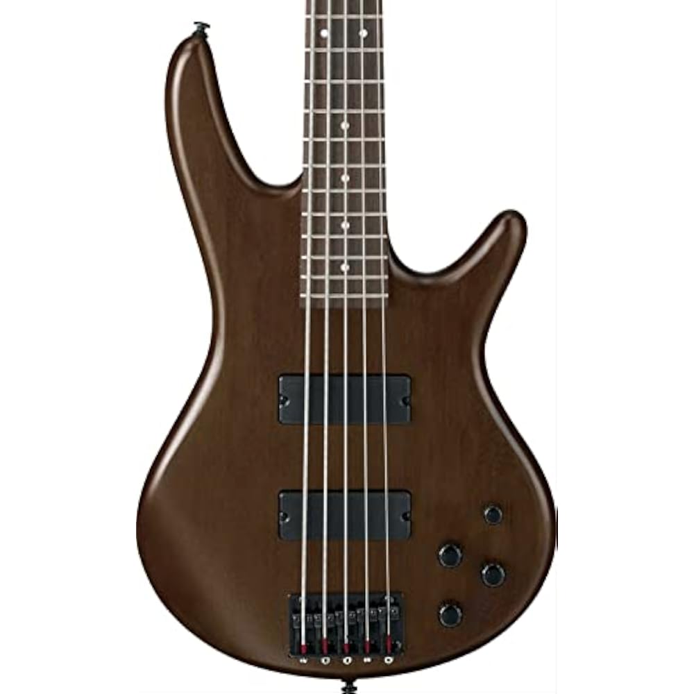 Ibanez (Ibanez) GIO series 5 string electric bass walnut flat GSR205B-WNF