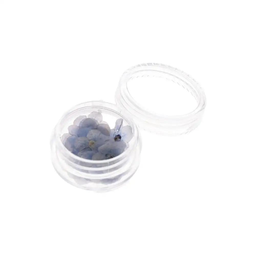 Resin Ornaments Natural Jewelry Card Don't Forget Me Dried Flowers Forget-Me-Not Pressed Flower