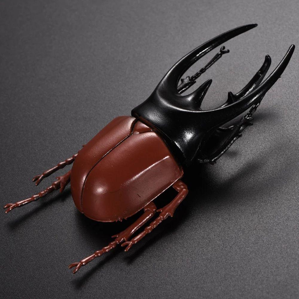 Joke Toys Fake Beetle Kids Special Lifelike Model Simulation Beetle Beetle Toys Insect Model