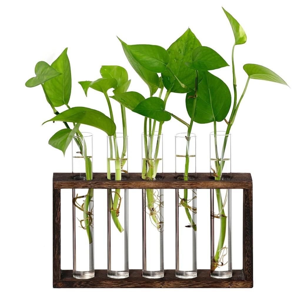 Modern Simple Transparent Tube Glass Vase Hydroponic Planter with Wooden Stand Desktop Plant for Wedding Home Decoration