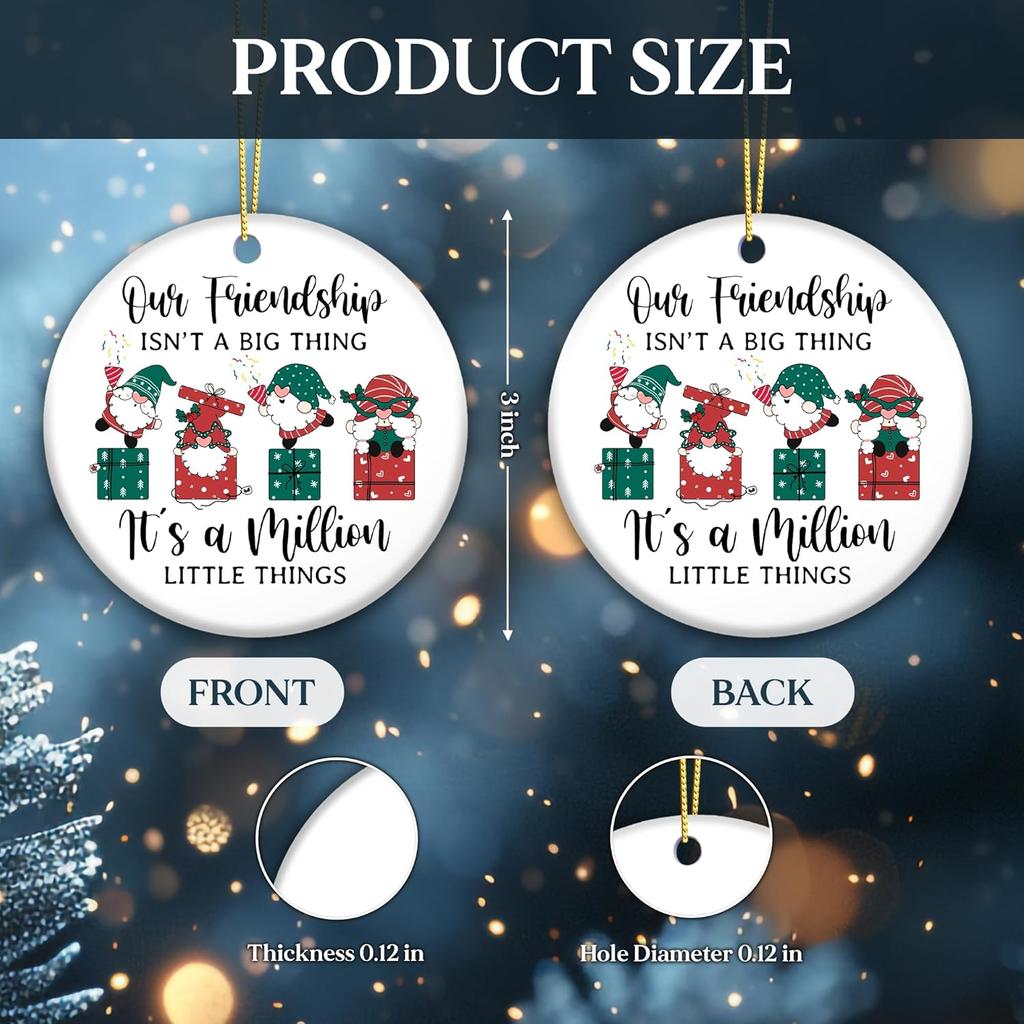 Friendship Ornament 2025 – Funny Best Friend Ornament, Gnome Gift Exchange – Our Friendship Isn’t a Big Thing, It’s a Million Little Things