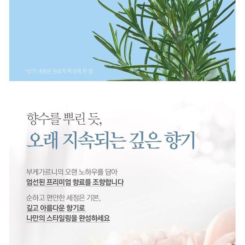 Bouquet Garni Sugar Body Scrub - 5 Types